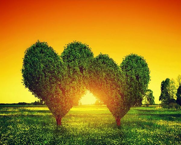 

wallpapers love tree landscape background wall couple el decoration wallpaper custom 3d bedroom living room mural
