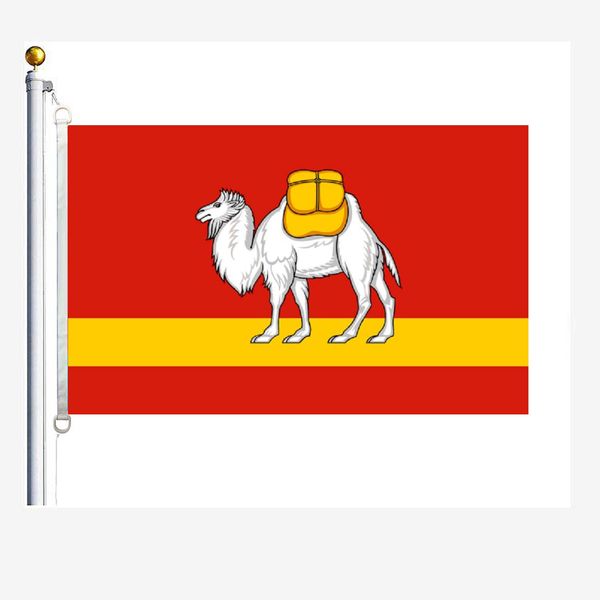 

chelyabinsk oblast flags 90 x 150 cm, 100 % polyester, digitaldruck
