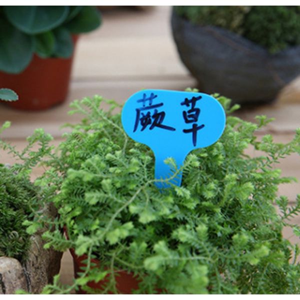 

100pcs plastic plant type t label nursery garden plant pot planter plastic vegetable label tag h wmtvvv