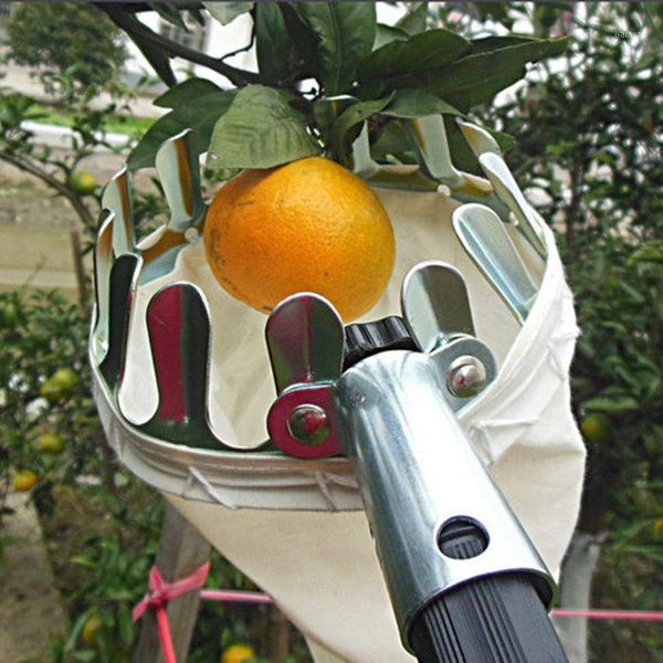 

apple peach fruit picker hand metal fruit picker convenient high tree horticultural gardening picking tools for farm garden1