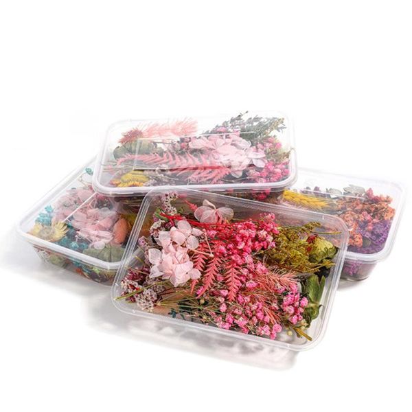 

1box real pressed dried flowers for art craft resin pendant jewellery making diy