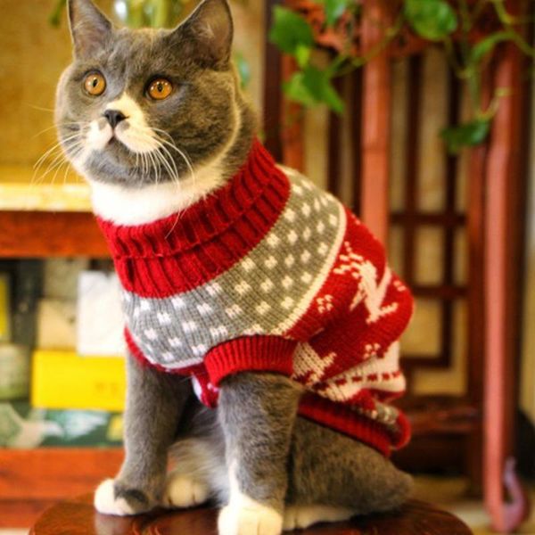 

cute cat sweater costume winter warm pet clothes cat clothing for cats katten kedi giyim mascotas gato pets products for animals
