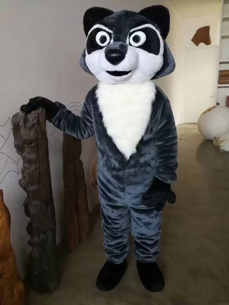 Pictures reais de alta qualidade Deluxe Raccoon Mascot Traje Adulto Tamanho