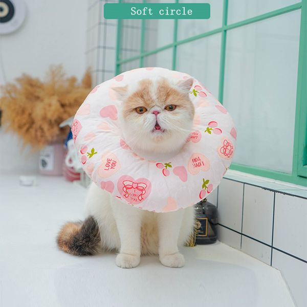 

elizabeth ring, soft cloth, cat collar, disinfection and anti licking products