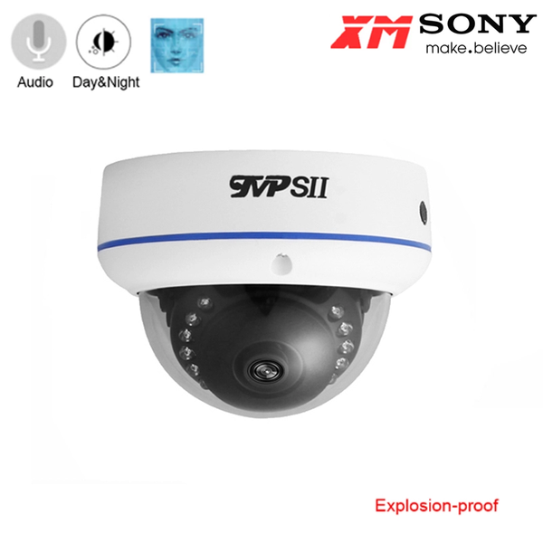 

15pcs infrared leds 8mp,5mp,4mp,2mp face detection explosion-proof audio white metal dome hemispher surveillance ahd cctv camera