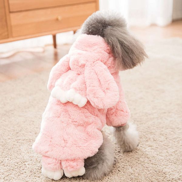 

koala turns into little teddy bomebe bear small dog winter thick pet cat two feet cloth
