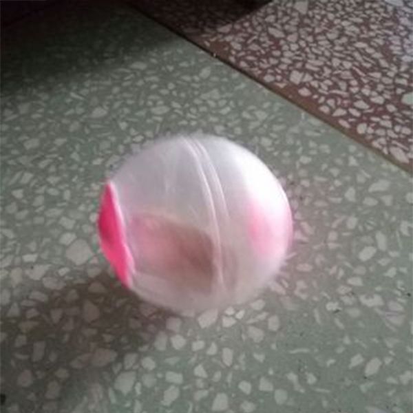 

pet running play ball ball hamster exercise ball activity toy with bracket