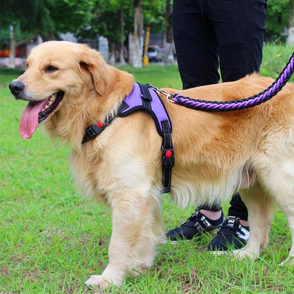 

dog collars & leashes harness dogs for puppy collar four seasons nylon