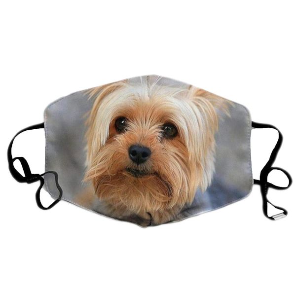 

mouth caps washable funny dogs print fabric mouth mask reusable face mask women man breathable mask mascarillas maske wmtewv comb2010