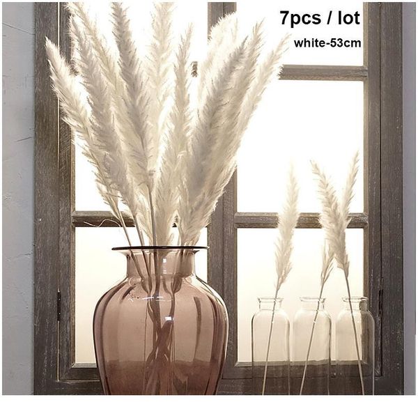 

30pcs/lot gradient lagurus ovatus natural dried flowers bouquet wedding home easter decorations rabbit tail grass real jllqrb