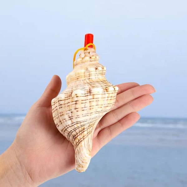 

natural conch whistle pendant shell spiral snail blowing whistle children's toy gifts survival tool souvenir instrument craft h jllmyp