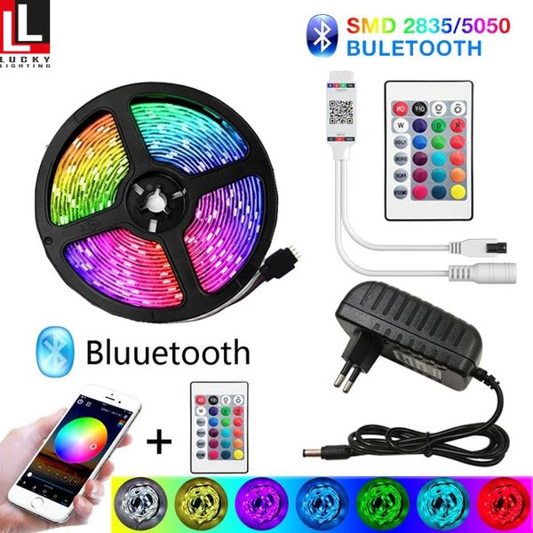 Luci di striscia a LED Bluetooth 20m RGB 5050 SMD Flexible Riboli flessibile impermeabile RGB Light da 5 m di diodo a nastro da 5 m DC CONTROLLO