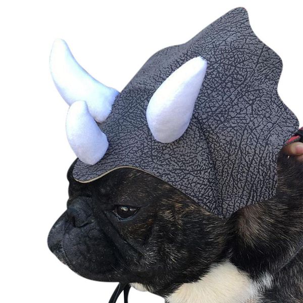 

hat for pets, tricera, cat, dog, dinosaur pet