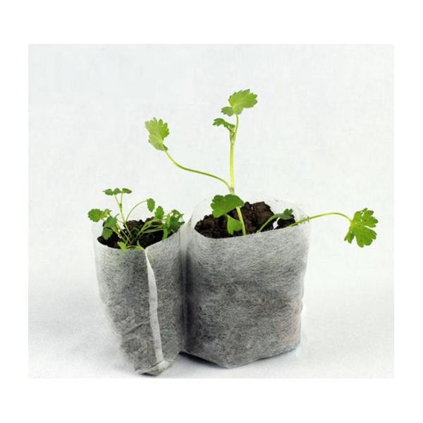 

100pc-pack flower plant organic vegetable seed germinate seedling sprout cutting clone grow pot non-woven fab wmtgwc homes2011