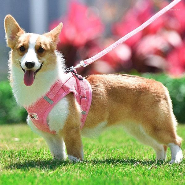 

dog collars & leashes custom corduroy breathable puppy chest harness for dogs leash collar lead luminous reflective strap vest cats goods pe