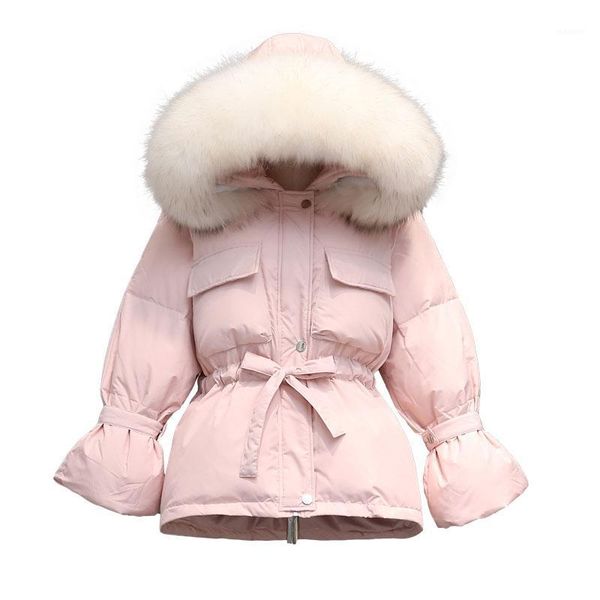 

real raccoon fur collar 2019 new winter coat women long down parka thick warm down jacket white duck coat plus size outwear1, Black