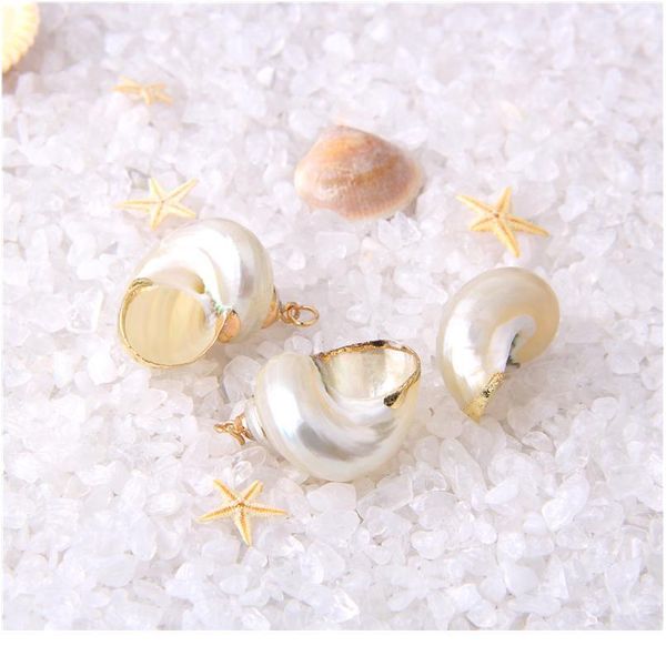 

22*14-26*16 mm 5 pcs natural spiral shell charm pendants conch at random gold for jewelry making diy necklace bracelet qylhma, Black