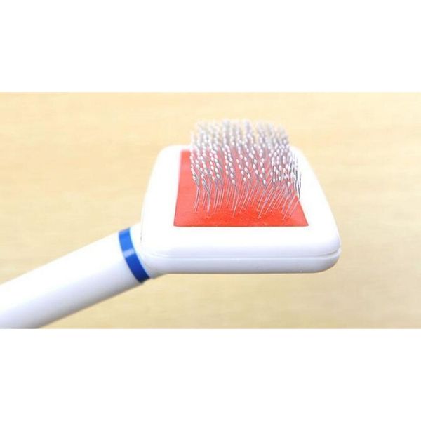 

eco-friendly pet brush plastic handle safe to dog cleaning grooming tool for jlltho sport77777