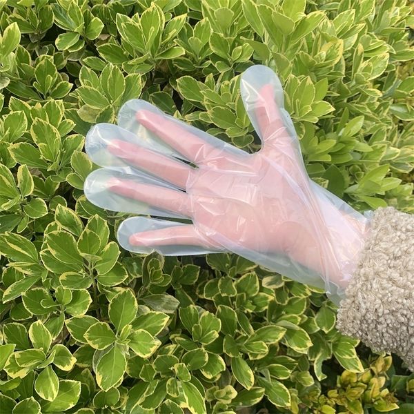 

100pcs disposable plastic safy hand glove