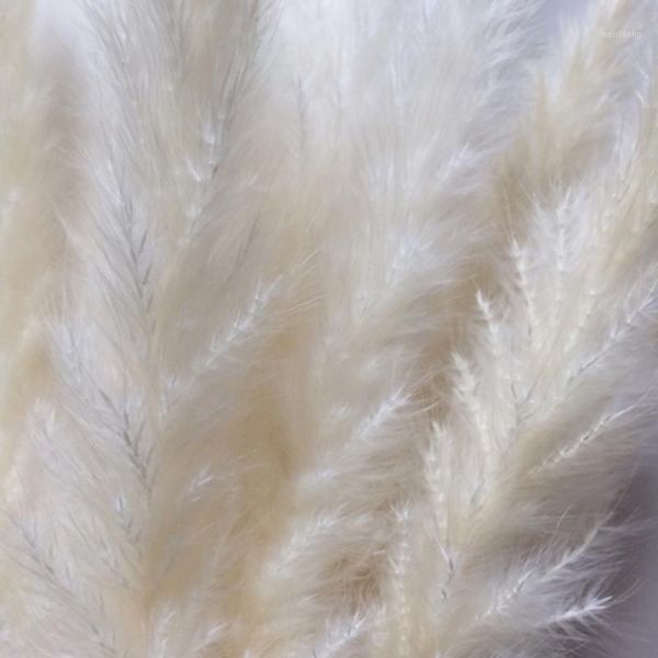 

15pcs bulrush natural dried small pampas grass phragmites wedding flower bunch 3 colors for home decor1