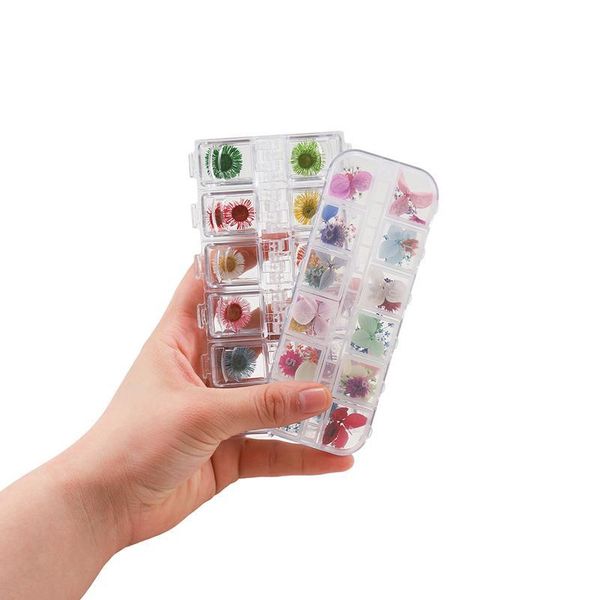 

1box ammi majus real dried flower dry plants for epoxy resin pendant jewelry making craft diy accessories nail art decal qylhvf