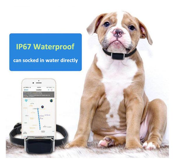 

factory oem portable waterproof mini dog kids pet gps tracker