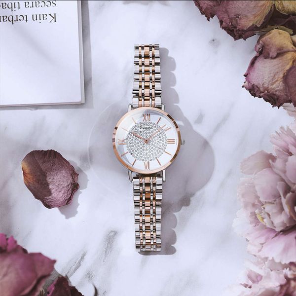 

live broadcast special 2020 new sky star waterproof fine steel women's quartz wa