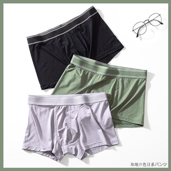 

underpants tomasz raczek brand men's underwear modal pure cotton antibacterial youth boxer four corners boxers1, Black;white