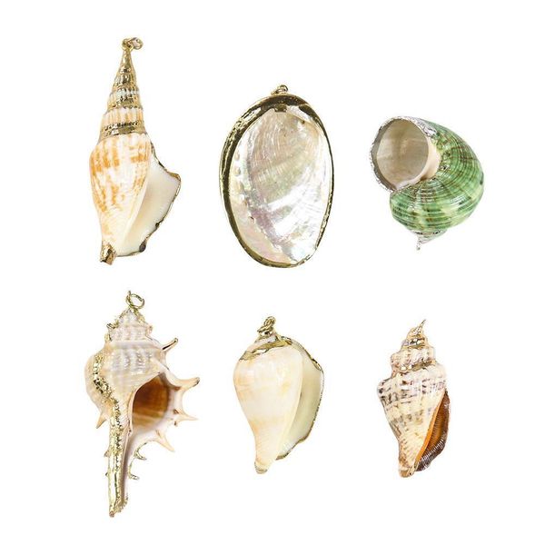 

5pcs natural conch seashell ornaments for pendant shells charms necklace pendant diy shells for jewelry making accessories h jllbgq