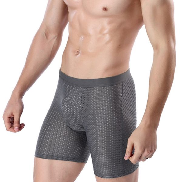 Homens Sporting Net Boxer Underwear Calções Calças Mens Leite Fibra Boxers Underpants Para Qualidade Marca Sexy Bolsa Panties 4xl