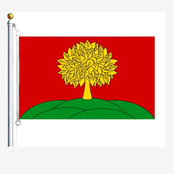 

lipetsk oblast flags 90 x 150 cm, 100 % polyester, digitaldruck
