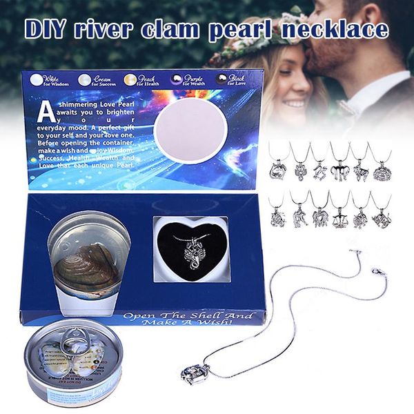 

'the #039; love pearl creations zodiac wish kit with pendant necklace durable for women girl 889