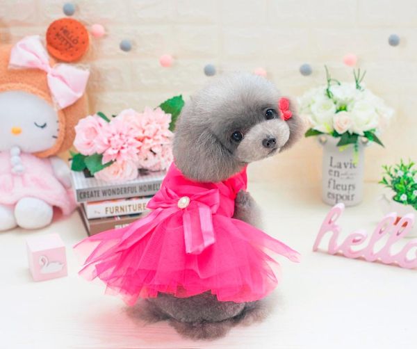

dog apparel coming korea pet dogs dress in lovely design puppy clothing for