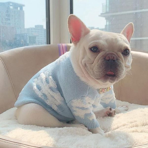 

dog apparel sweater beautiful blue snowflake soft