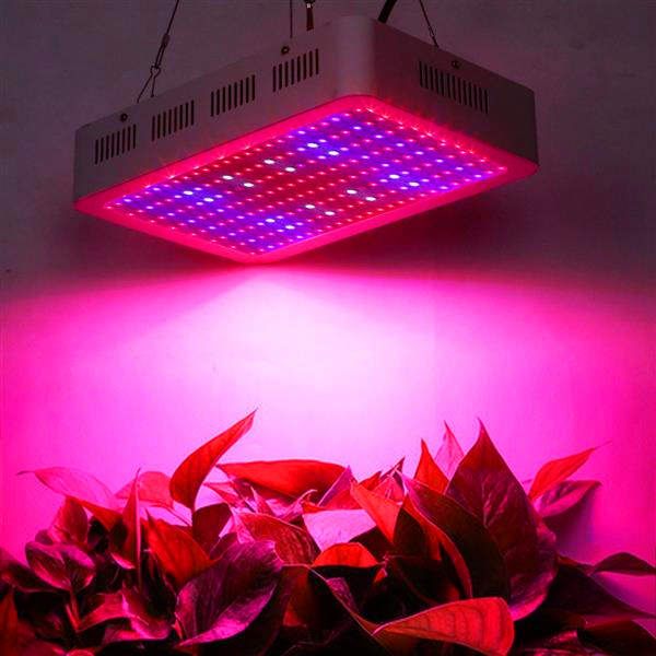 

Best seller 2000W Dual Chips 380-730nm Full Light Spectrum LED Plant Growth Lamp White Indoor LED Grow Lights