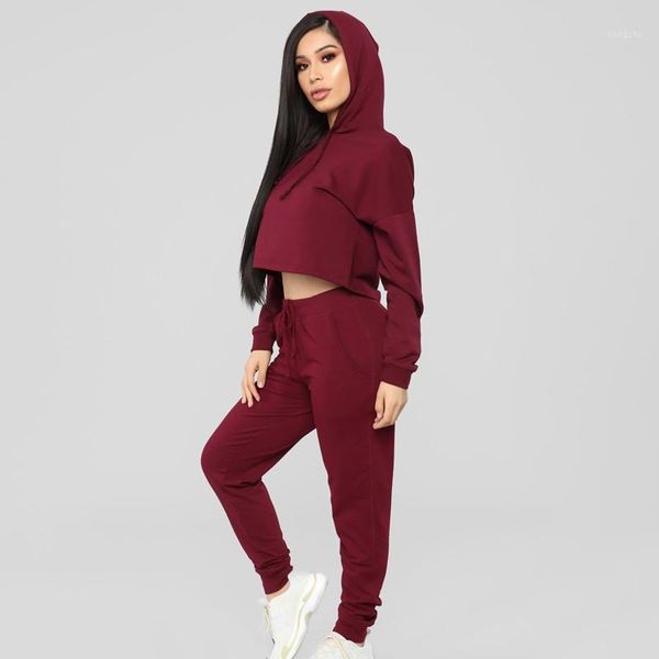 

women's elastic trousers suits knitted two piece set fashion long sleeve hooded pullover pure color pants casual suit1, Gray