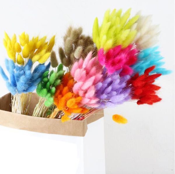 

decorative flowers & wreaths 30pcs/lot natural dried tail grass bunch colorful lagurus ovatus real flower bouquet for home wedding decoratio
