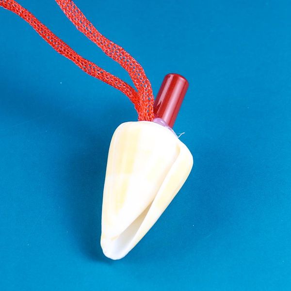 

natural conch whistle pendant necklace small conch shell whistle craft gift kids toy survival tool souvenir instrument equipment h jllivi