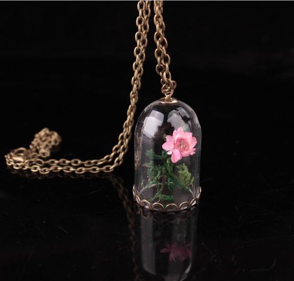 

pendant necklaces fashion crystal wish bottle necklace dandelion flower inside transparent jewelry for women, Silver