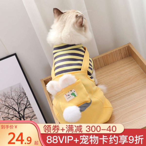 

warm in cat kitten four feet thin lovely anti hair pet winter clothing
