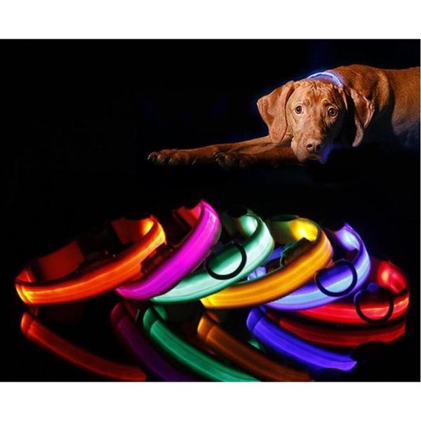 

pet dog collar led flash collars dog cat collars flashlights dibo america huskies teddy large dog collars s m l xl emitting led pet