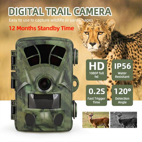 Digitale Wildkamera mit LCD-Display, IP56 wasserdicht, Superweitwinkel und 20 m Erkennungs-IR-Sensor, 12 Monate Standby-Zeit CL37-0039
