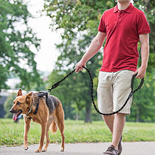 

reflective dog leash nylon pet dog leash rope for small medium large dogs walking training pet sqccym