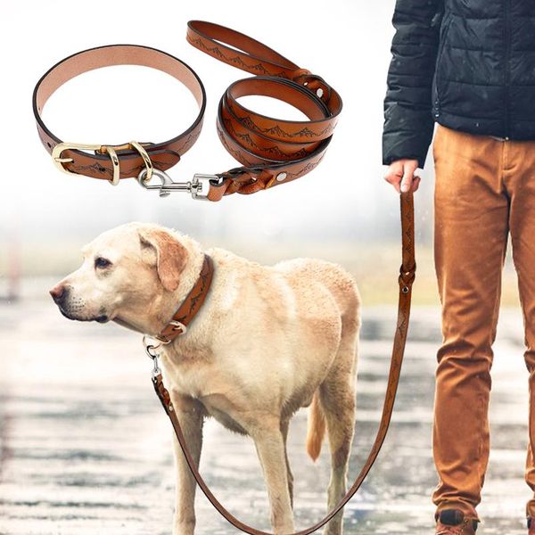 

genuine leather dog collar and leash set durable pet walking training collar leash for medium large dogs german bbyxvn