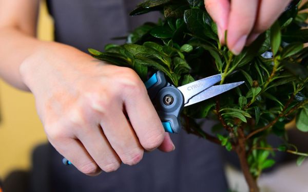 

shears pruner secateurs pruning scissors bypass sharpener clippers garden tool bonsai flower cultivating solid snip floral mini