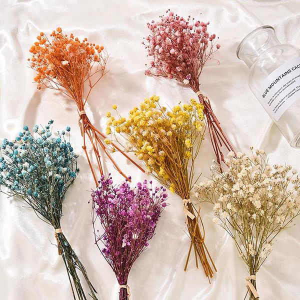 

real happy flower small natural dried flowers bouquet dry flowers press mini decorative pgraphy p backdr wmtcat