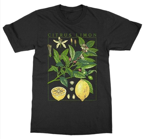 

queen-xsx lemon plant t-shirt short sleeve o-neck botanical garden print art botany bloom fruit flower cotton t shirt, White