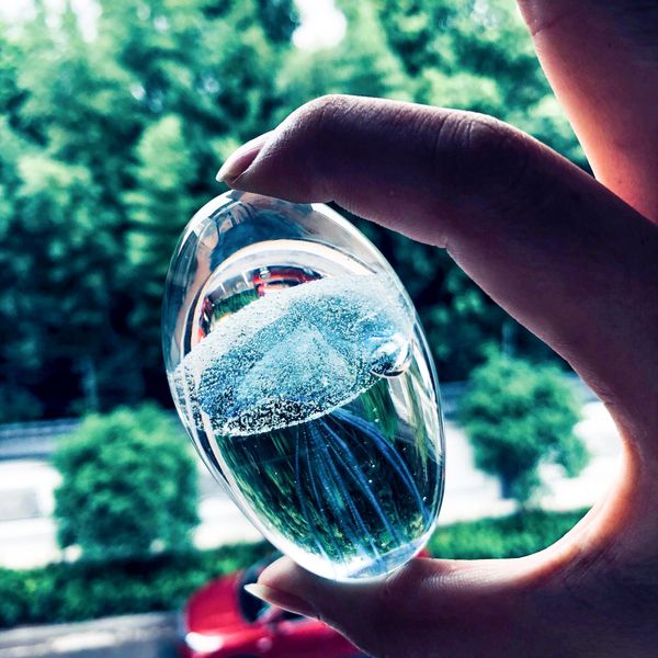 

3d laser fish jellyfish inlay crystal glass art ocean gift wedding express gift home decoration paperweight centerpiece h jllira