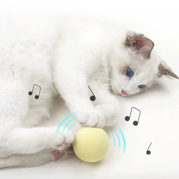 

toy ball, straw sponge, cat voice toy, anti bite
