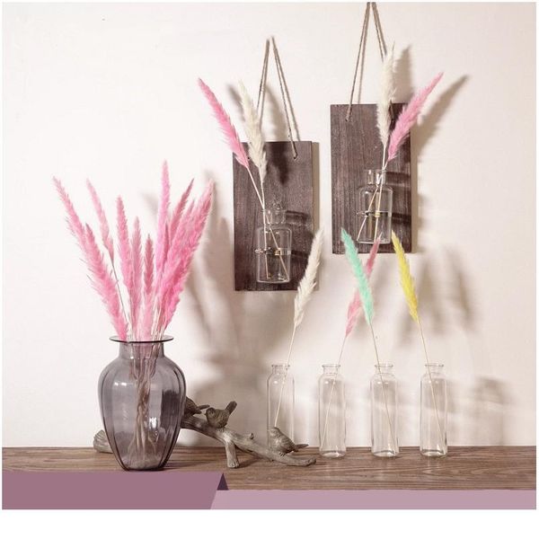 

natural dried flowers diy artificial flowers decorative pampas grass phragmites wheat plants for home wedding decorati jllhot